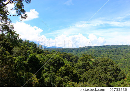 馬來西亞哥打京那巴魯婆羅洲島京那巴魯自然公園 93733286