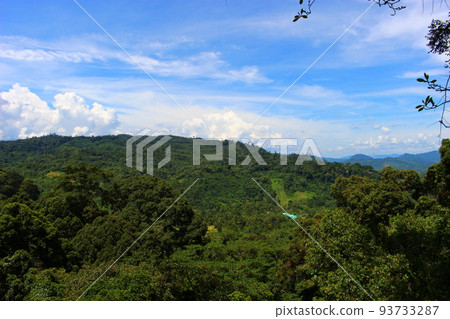 馬來西亞哥打京那巴魯婆羅洲島京那巴魯自然公園 93733287
