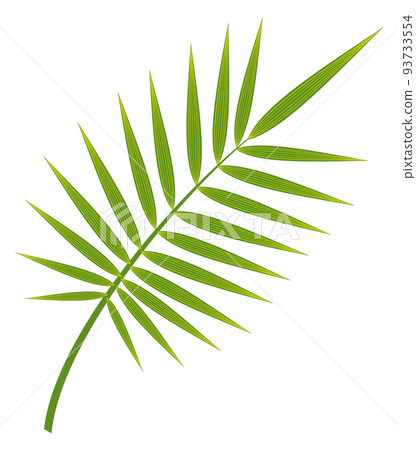 Green exotic plant leaf. Jungle foliage icon Green exotic plant leaf. Jungle foliage icon 93733554