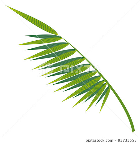 Jungle tree foliage. Green exotic plant leaf 93733555