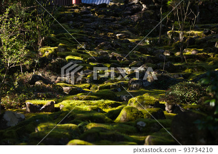 永泉寺美麗的苔蘚 | 山形縣久見郡由佐町永泉寺 93734210