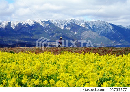 Early spring 93735777