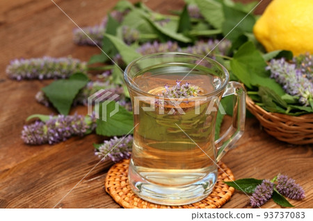 Herbal tea from medicinal herb Agastache foeniculum, also called giant hyssop, Indian mint or blue licorice Herbal tea from medicinal herb Agastache foeniculum, also called giant hyssop, Indian mint or blue licorice 93737083