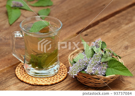 Herbal tea from medicinal herb Agastache foeniculum, also called giant hyssop, Indian mint or blue licorice Herbal tea from medicinal herb Agastache foeniculum, also called giant hyssop, Indian mint or blue licorice 93737084