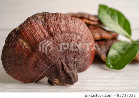 Dried lingzhi mushroom with capsule drug, alternative medicine herbal organic herb. 93737338