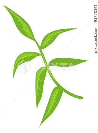 Herb icon. Green branch. Cartoon natural plant Herb icon. Green branch. Cartoon natural plant 93738341