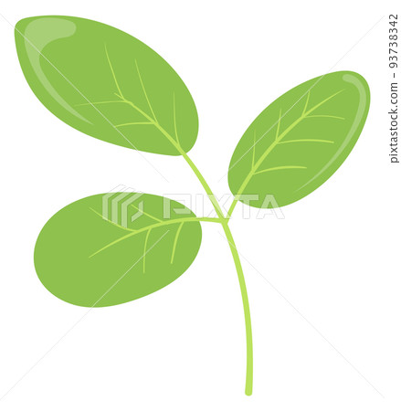 Green leaves branch. Cartoon plant part. Nature symbol 93738342