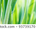 Under the bright sun. Abstract natural backgrounds 93739170
