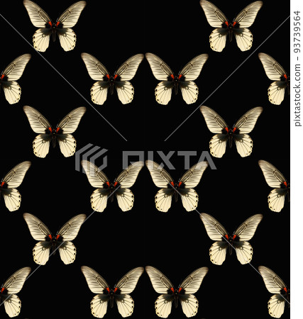Seamless pattern exotic tropical butterflies white papilio memnon, white black unusual insect texture, colorful background, wallpaper, nature concept 93739564