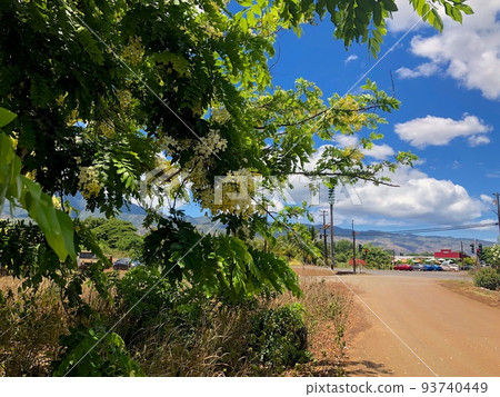 “夏威夷”哈雷瓦鎮風光 93740449