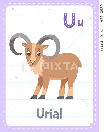 Alphabet printable flashcard with letter U and urial animal Alphabet printable flashcard with letter U and urial animal 93740929