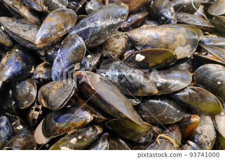 Mussels for sale at a market stall Mussels for sale at a market stall 93741000