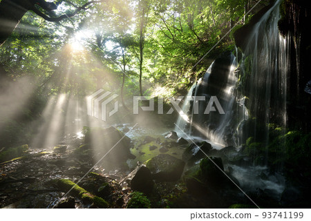 Monkey Bottle Falls 93741199