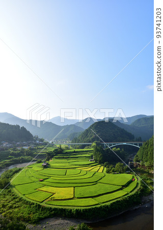 荒木島梯田開始變色 93741203
