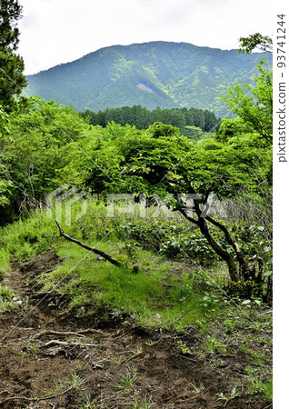 Nishitanzawa's Yubune Mountain Ridge Course View of Mt. Furo from near Warusawa Pass (Serizawa Pass) 93741244
