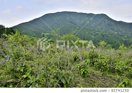 View of Mt. Furo from the summit of Sanshobara no Oka in Nishitanzawa 93741250