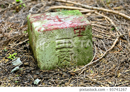 Nishitanzawa's Minesaka Pass third-order triangulation point Nishitanzawa's Minesaka Pass third-order triangulation point 93741267