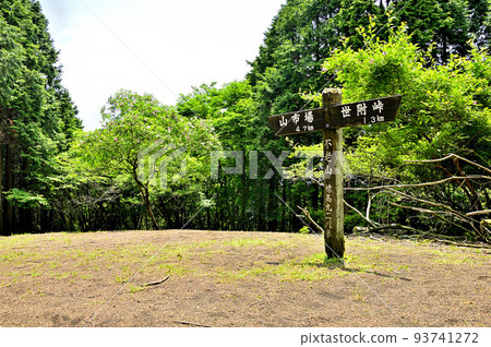 Furozan north peak in Nishitanzawa, the peak of Sansho roses blooming 93741272