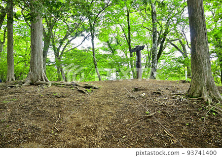 位於西丹澤湯船山頂的新鮮綠色森林 位於西丹澤湯船山頂的新鮮綠色森林 93741400