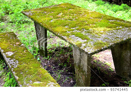Nishitanzawa's Yubune Mountain Ridge Course Moss-covered benches on Minesaka Pass 93741445