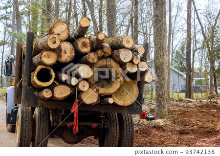 A huge powerful truck with platforms, carrying a bunch of large logs 93742138