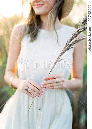 Dry branch of reed in the hands of a girl. Close-up 93742992