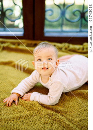 Baby lies on his tummy on a blanket on the floor Baby lies on his tummy on a blanket on the floor 93743018