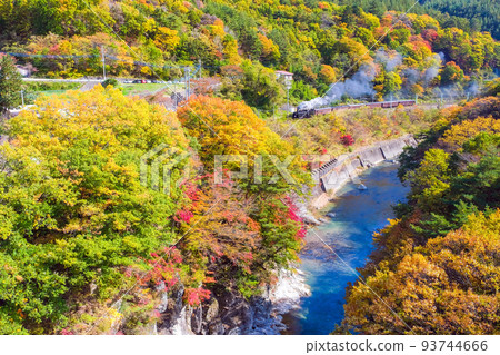 SL Minakami going through Suwakyo in autumn 93744666