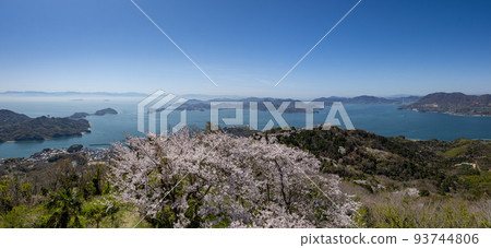Sakura on the summit of Mt. Sekizen (Iwagi Island, Ehime Prefecture) Sakura on the summit of Mt. Sekizen (Iwagi Island, Ehime Prefecture) 93744806