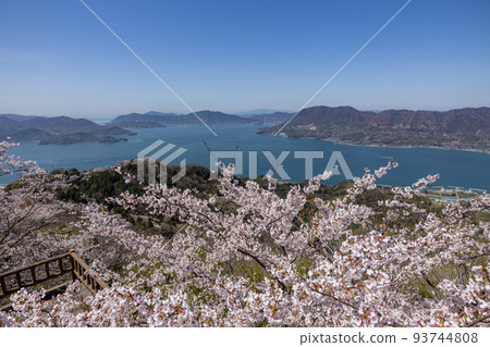 春天從關前山山頂眺望（愛媛縣岩木島） 93744808
