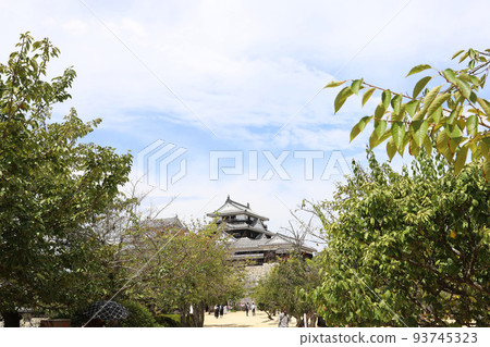 愛媛縣松山城 93745323
