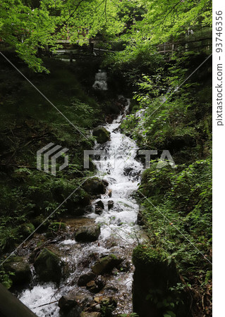 岐阜縣築地峽中津川 岐阜縣築地峽中津川 93746356