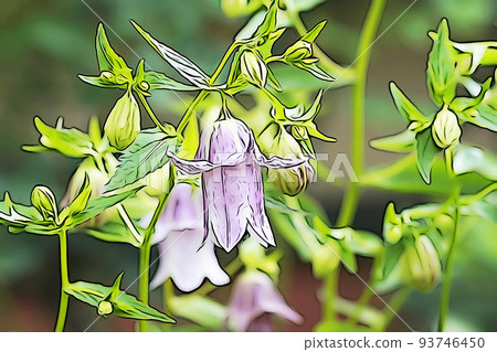 柔和的風格“雙開花螢火蟲分支”插圖圖像 柔和的風格“雙開花螢火蟲分支”插圖圖像 93746450