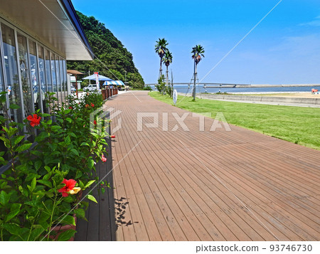 Nagaihama Beach Hibiscus and Lawn Square in Yukuhashi City, Fukuoka Prefecture 93746730
