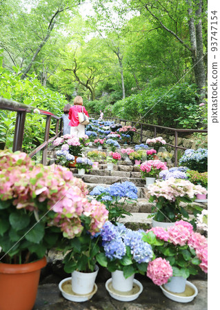 Hase-dera, Nara Prefecture Hase-dera, Nara Prefecture 93747154
