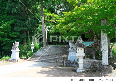 [Inaba Province Ichinomiya] The approach to Ube Shrine and the company sign Kokufucho, Tottori City, Tottori Prefecture 93747944