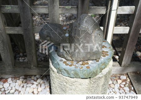 [Inabakuni Ichinomiya] Fukutoku Kameishi in front of the worship hall of Ube Shrine, Kokufucho, Tottori City, Tottori Prefecture 93747949