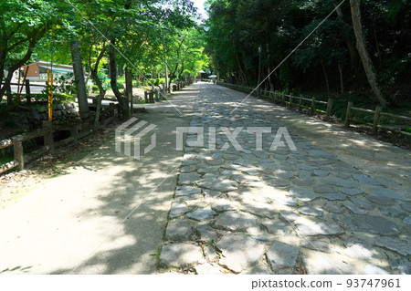 Tottori Toshogu Shrine (former Namochi Shrine) Approach to the shrine and sunlight filtering through the trees Tottori City, Tottori Prefecture 93747961