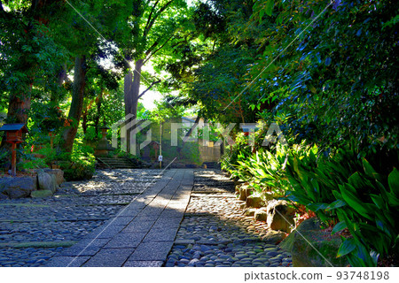代代木八幡宮夏越原江風景 93748198
