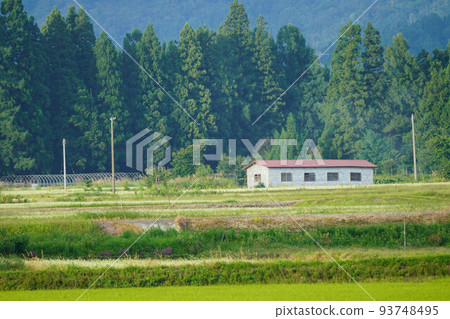 Country landscape Country landscape 93748495