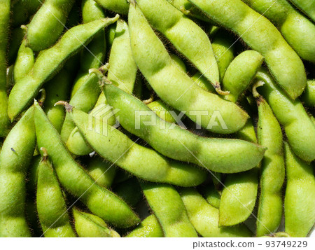 Soybeans Edamame 93749229