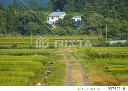 Rural scenery One-way road Rural scenery One-way road 93749346