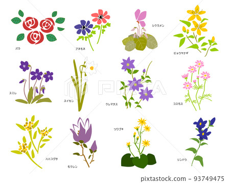 各種花的插圖集 93749475