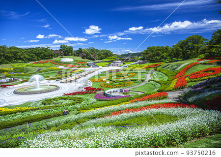 Michinoku Dori Lakeside Park Michinoku Dori Lakeside Park 93750216