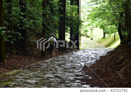 三島市箱根老路西坂（小島町） 鵝卵石、徒步旅行者和新鮮的綠地 93752791