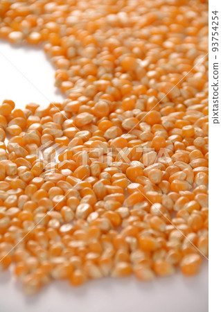 Dried corn popcorn seeds Dried corn popcorn seeds 93754254