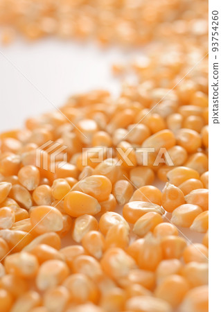 Dried corn popcorn seeds Dried corn popcorn seeds 93754260