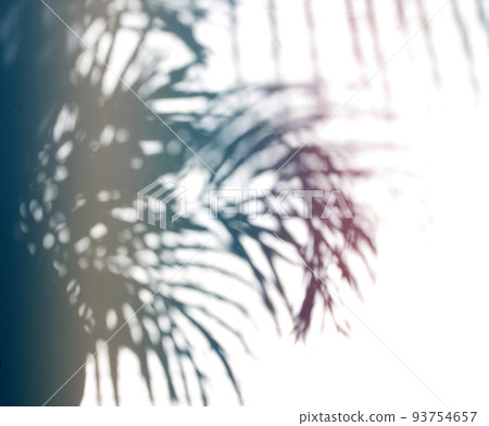 Abstract shadow black palm leaf on a white wall Background. Blank copy space. Abstract shadow black palm leaf on a white wall Background. Blank copy space. 93754657