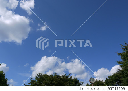 Summer sky in the park at 3pm 93755309
