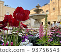 荷蘭花園 93756543